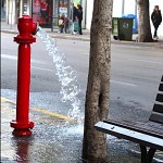 Bouche d'incendie ou fontaine ? אדום, עירוני ונובע